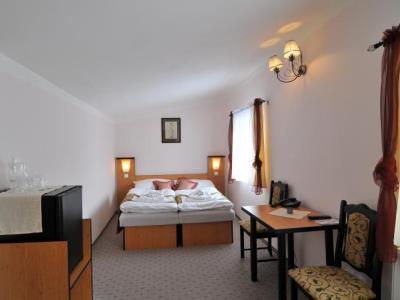 Hotel Manes Svratka Esterno foto