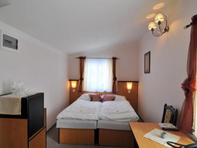 Hotel Manes Svratka Esterno foto