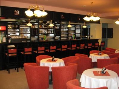 Hotel Manes Svratka Esterno foto